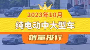 2023年10月纯电动中大型车销量排行榜，红旗E-QM5以10021辆夺冠