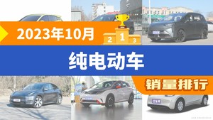 2023年10月纯电动车销量排行榜，Aion Y屈居第三，宏光MINI EV成最大黑马