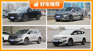 6座MPV14万左右哪款好？嘉际动力，保值表现最好