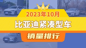 2023年10月比亚迪紧凑型车销量排行榜，秦新能源屈居第三