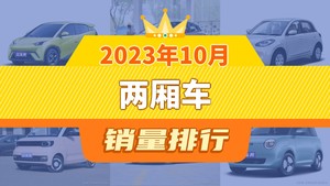 2023年10月两厢车销量排行榜，海豚位居第二，第一名你绝对想不到