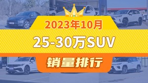 2023年10月25-30万SUV销量排行榜，Model Y夺得冠军，第二名差距也太大了 