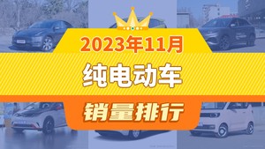 2023年11月纯电动车销量排行榜，Model Y以49877辆夺冠，Model 3升至第9名 