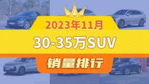 2023年11月30-35万SUV销量排行榜，Model Y以49877辆夺冠