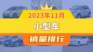 2023年11月小型车销量排行榜，海鸥以40594辆夺冠