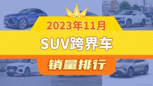 2023年11月SUV跨界车销量排行榜，探岳X屈居第三，领克05成最大黑马