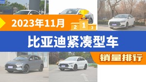 2023年11月比亚迪紧凑型车销量排行榜，秦PLUS夺得冠军，第二名差距也太大了 