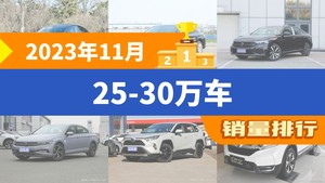 2023年11月25-30万车销量排行榜，Model Y夺得冠军，第二名差距也太大了 