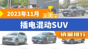 2023年11月插电混动SUV销量排行榜，宋Pro新能源夺得冠军，第二名差距也太大了 