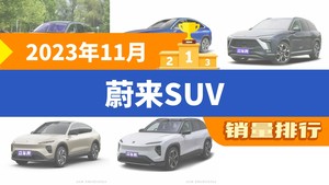 2023年11月蔚来SUV销量排行榜，蔚来EC6位居第二，第一名你绝对想不到