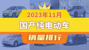 2023年11月国产纯电动车销量排行榜，海豚屈居第三，宏光MINI EV成最大黑马