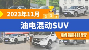 2023年11月油电混动SUV销量排行榜，锋兰达屈居第三，RAV4荣放成最大黑马