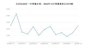 2023年11月北京BJ40销量多少？ 在哪个城市卖得最好？