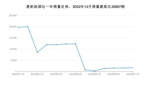 2023年11月比亚迪唐新能源销量多少？ 在哪个城市卖得最好？