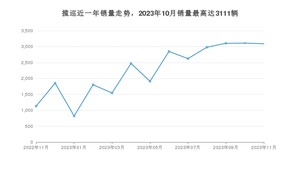 2023年11月大众揽巡销量多少？ 在哪个城市卖得最好？