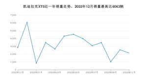 2023年11月凯迪拉克XT5销量多少？ 在哪个城市卖得最好？