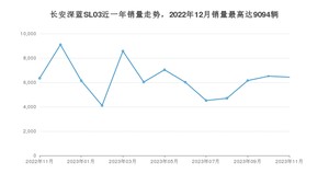 2023年11月长安深蓝SL03销量多少？ 在哪个城市卖得最好？