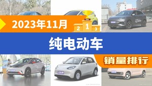 2023年11月纯电动车销量排行榜，Model Y以49877辆夺冠，Model 3升至第9名 