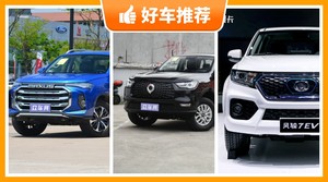 5座皮卡26万左右哪款好？性价比之选，买车的朋友看过来