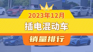 2023年12月插电混动车销量排行榜，宋Pro新能源夺得冠军，第二名差距也太大了 