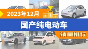 2023年12月国产纯电动车销量排行榜，海鸥夺得冠军，第二名差距也太大了 