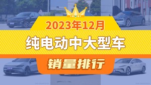 2023年12月纯电动中大型车销量排行榜，汉位居第二，第一名你绝对想不到