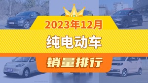 2023年12月纯电动车销量排行榜，海鸥位居第二，第一名你绝对想不到