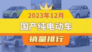 2023年12月国产纯电动车销量排行榜，元PLUS位居第二，第一名你绝对想不到