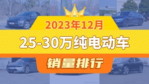 2023年12月25-30万纯电动车销量排行榜，Model 3位居第二，第一名你绝对想不到