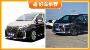 6座MPV145万左右哪款好？准备买车的朋友千万别错过！