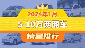 2024年1月热门两厢车销量排行：宏光MINI EV意外退居季军位置