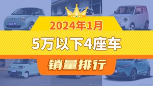 2024年1月5万以下4座车销量排行榜，熊猫mini屈居第三，小虎FEV成最大黑马