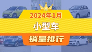 2024年1月小型车销量排行榜，五菱缤果屈居第三，焕驰成最大黑马