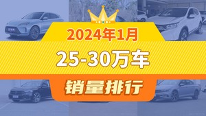 2024年1月25-30万车销量排行榜，Model Y位居第二，第一名你绝对想不到