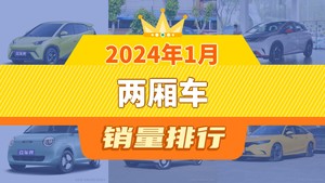 2024年1月两厢车销量排行榜，思域位居第二，第一名你绝对想不到