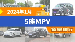 2024年1月5座MPV销量排行榜，菱智以2065辆夺冠