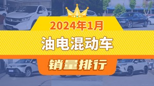 2024年1月油电混动车销量排行榜，本田CR-V夺得冠军，第二名差距也太大了 