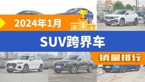 2024年1月SUV跨界车销量排行榜，蔚来EC6位居第二，第一名你绝对想不到