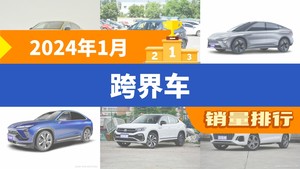 2024年1月跨界车销量排行榜，飞度位居第二，第一名你绝对想不到