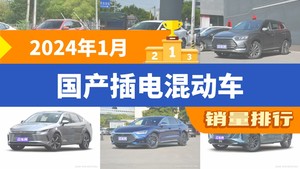 2024年1月国产插电混动车销量排行榜，宋Pro新能源以19952辆夺冠，领克09新能源升至第10名 