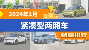 2024年1月紧凑型两厢车销量排行榜，大众ID.3屈居第三