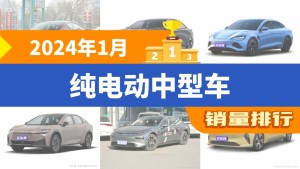2024年1月纯电动中型车销量榜，榜首意外之选！