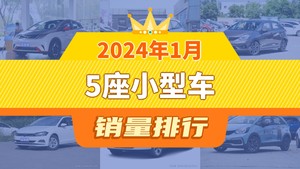 2024年1月5座小型车销量排行榜，海豚以16386辆夺冠