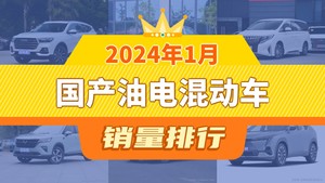 2024年1月国产油电混动车销量排行榜，哈弗H6以22846辆夺冠，瑞风M3升至第9名 