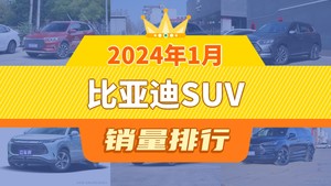 2024年1月比亚迪SUV销量排行榜，宋Pro新能源以19952辆夺冠