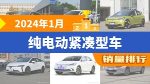 2024年1月纯电动紧凑型车销量排行榜，秦PLUS位居第二，第一名你绝对想不到