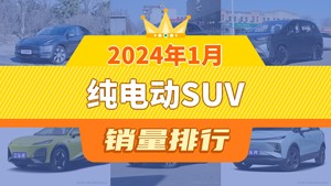 2024年1月纯电动SUV销量排行榜，Model Y以29912辆夺冠，宝马iX3升至第8名 