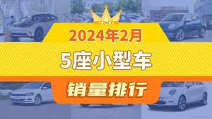 2024年2月5座小型车销量排行榜，欧拉好猫屈居第三