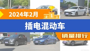 2024年2月插电混动车销量排行榜，秦PLUS屈居第三，蓝山DHT-PHEV成最大黑马