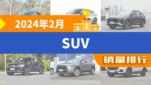 2024年2月SUV销量排行榜，Model Y夺得冠军，第二名差距也太大了 